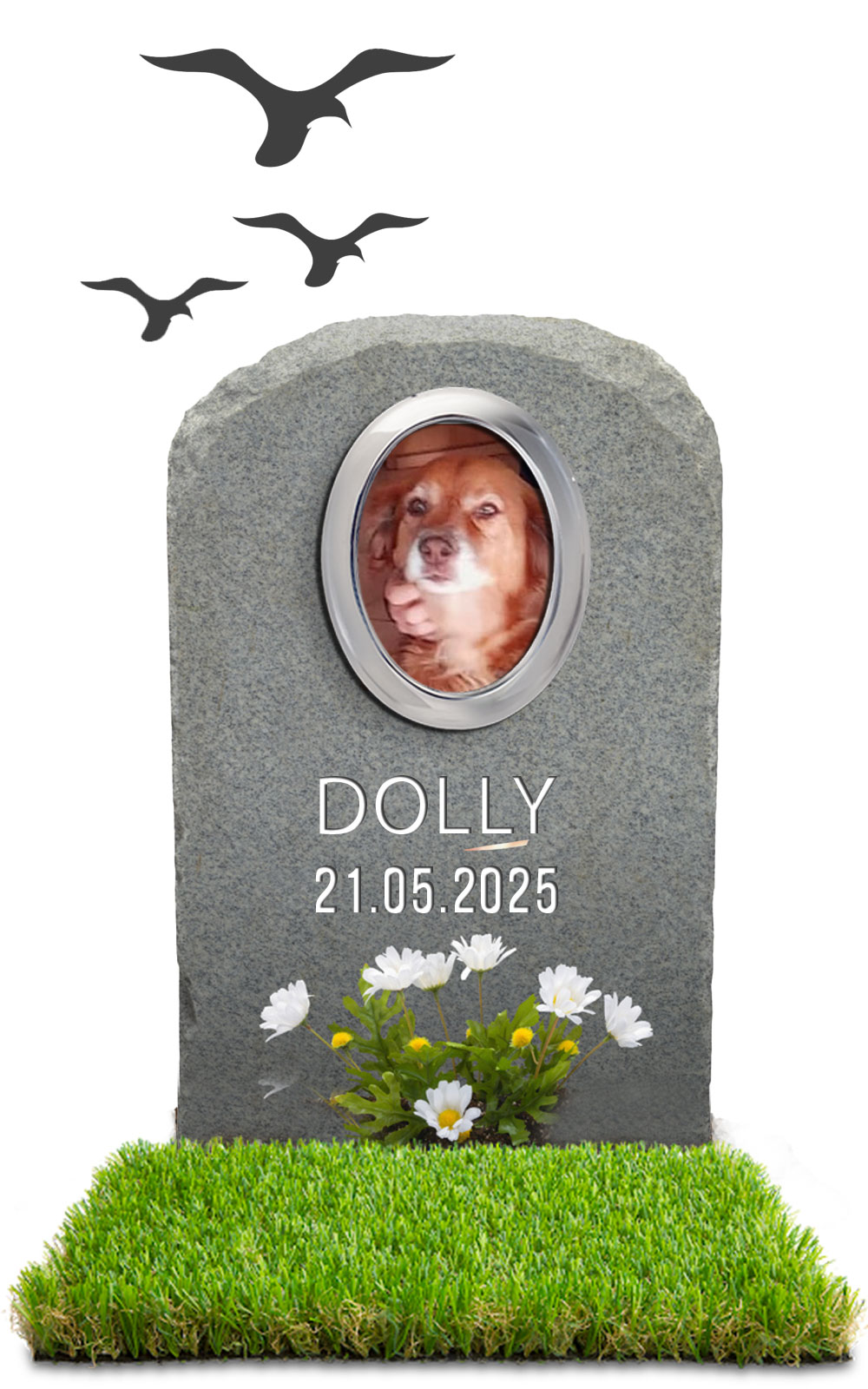 DOLLY 21.05.2025