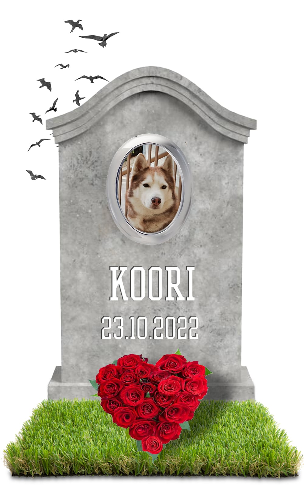 KOORI 23.10.2022
