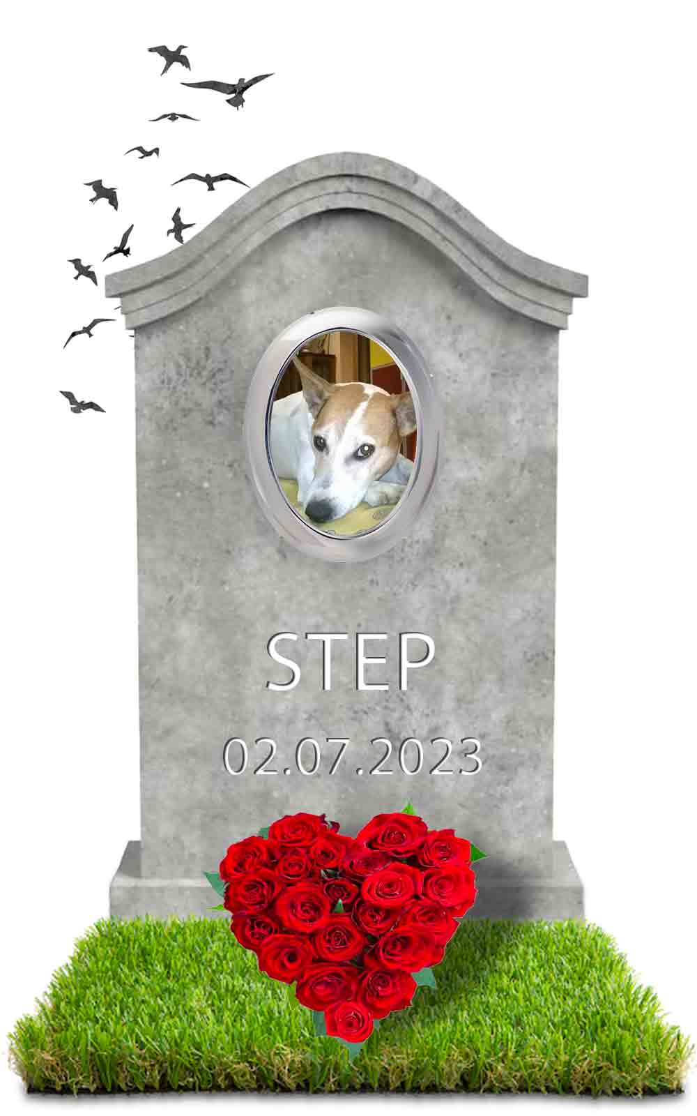 STEP 02.07.2023