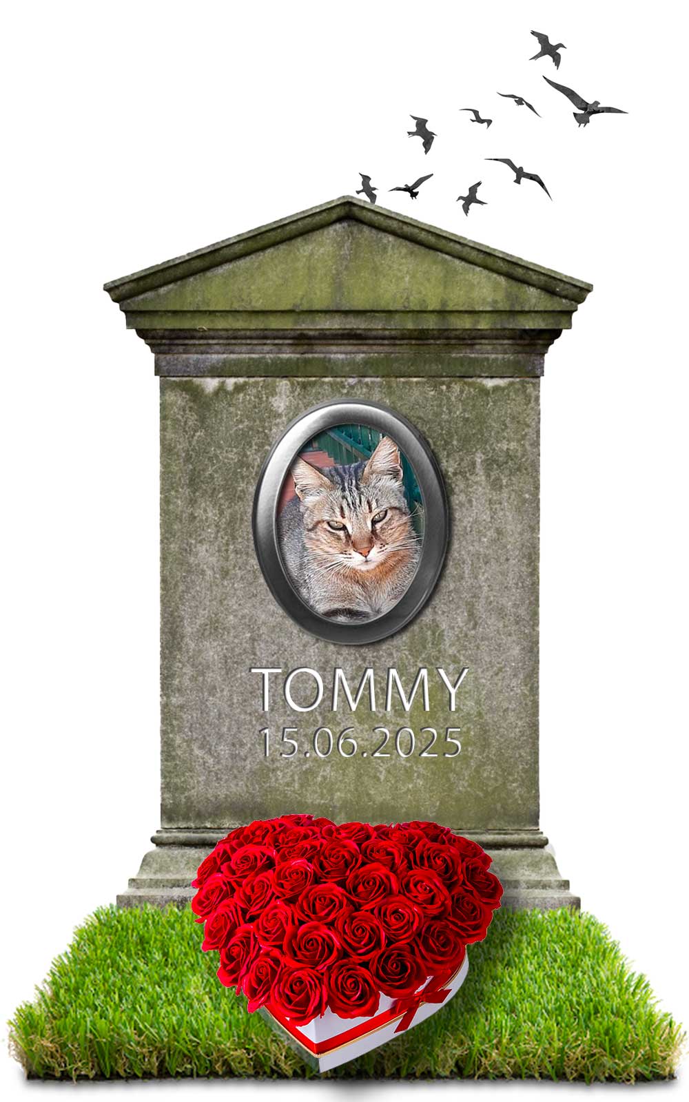 TOMMY 15.06.2025