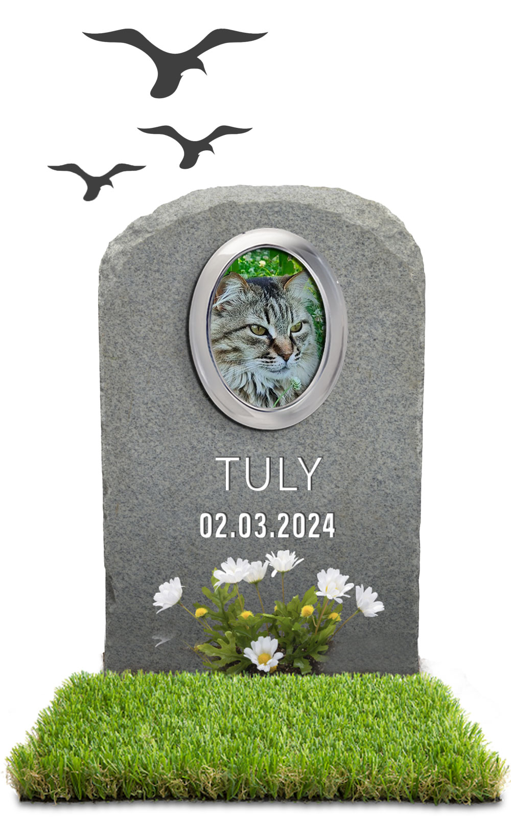 TULY 02.03.2024